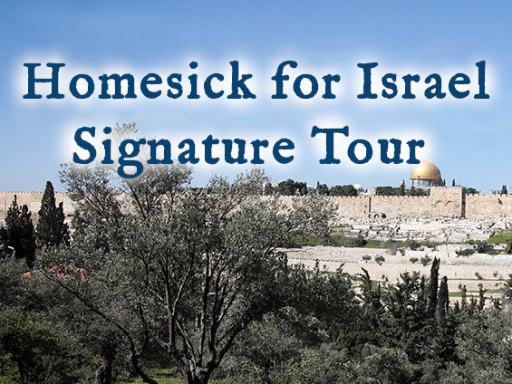 Homesick For Israel Signature Study Tour 